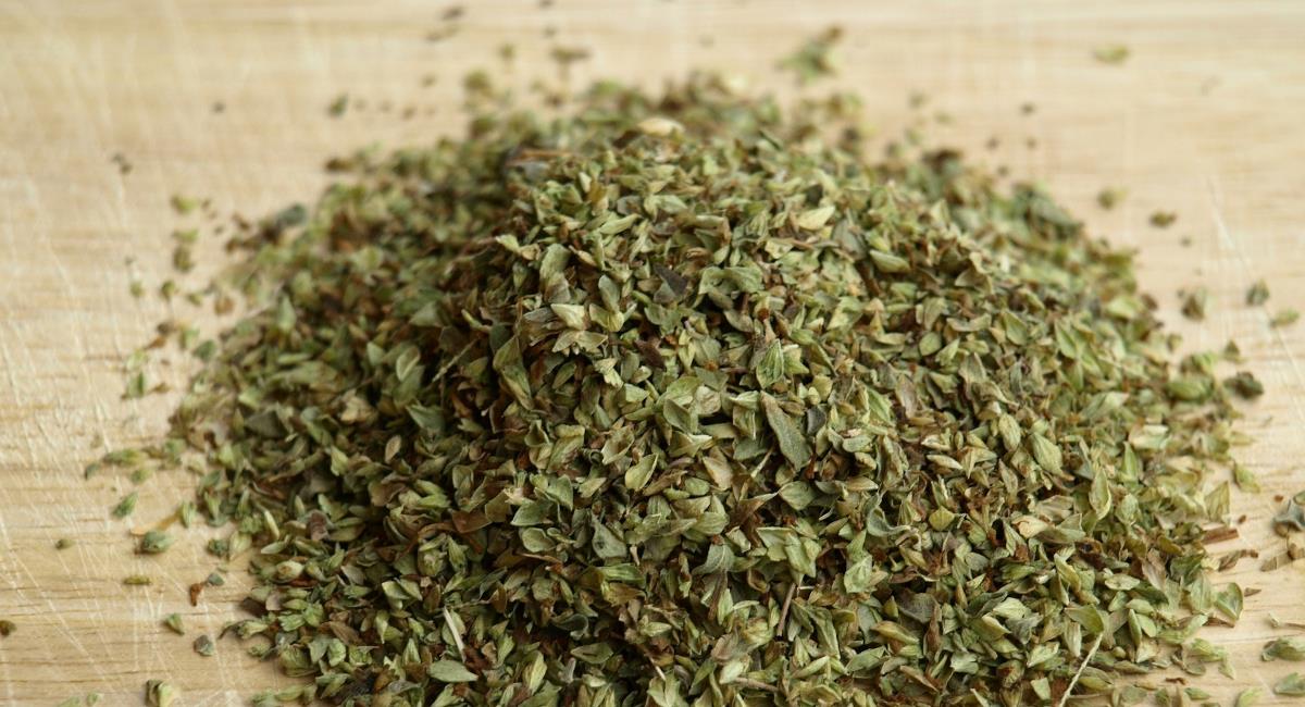 The Greek Oregano