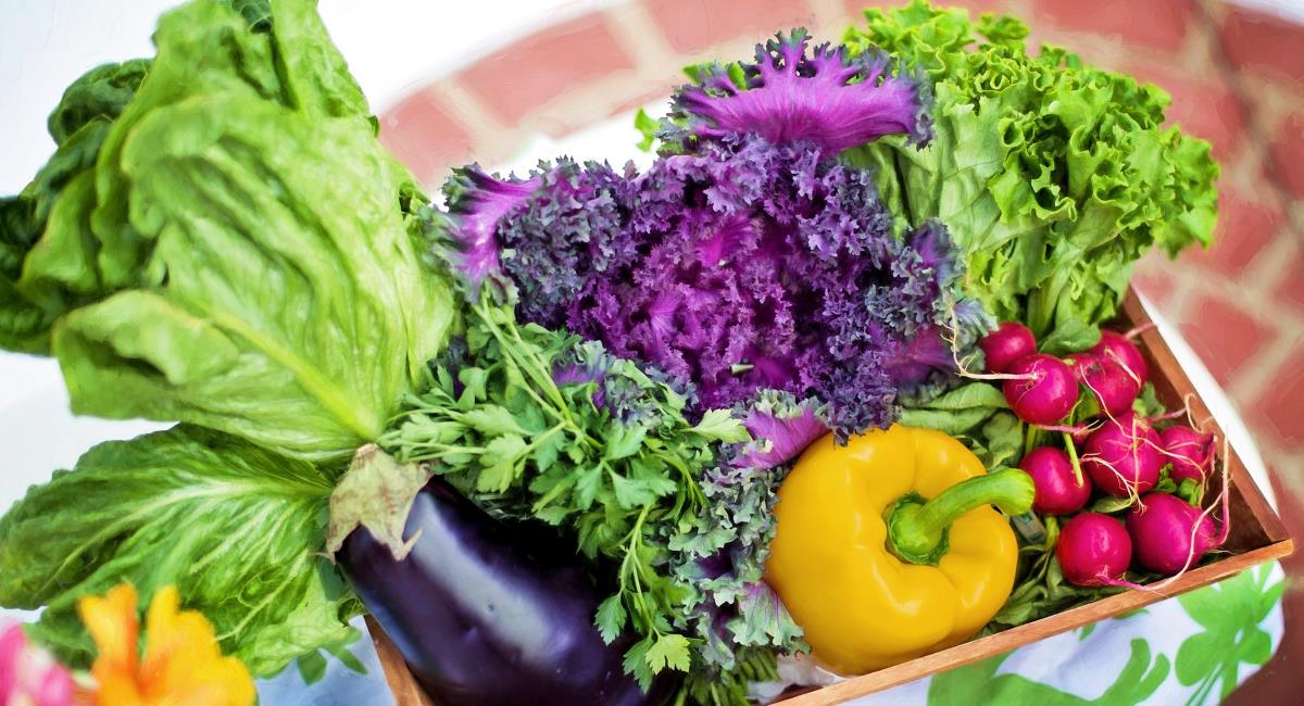 Φρούτα και λαχανικά κατά του καρκίνου του μαστού