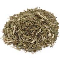 VERVAIN LEAVES CUT PARAGUAY