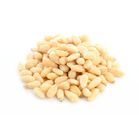 PINE NUTS CHINA