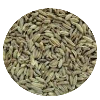 FENNEL SEED GREECE