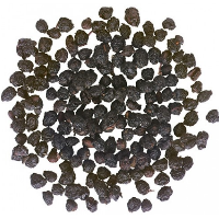 BLUEBERRY SEED GERMANY