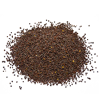 CEMENT BROWN SEED CANADA