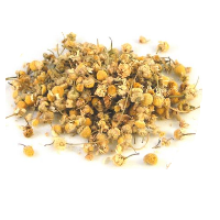 ROMAN CHAMOMILE POLAND