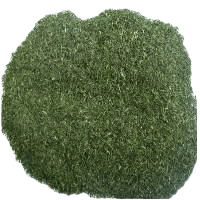 DILL DRIED HUNGARY AA