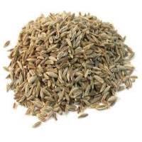 CUMIN SEED INDIA