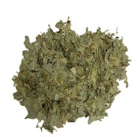 EUCALYPTUS LEAVES CUT ALBANIAN