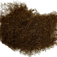 CORN TASSELS GERMANY