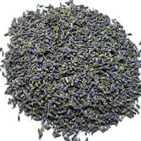 LAVENDER DARK BLUE SPECIAL FRANCE 