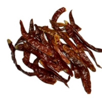 PEPPERS INDIA 4-6CM