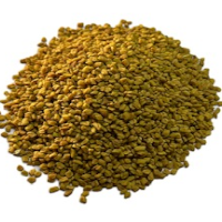 FENUGREEK SEED INDIA 